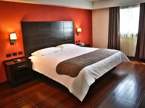 Hotel Victoria Inn | San Juan del Rio