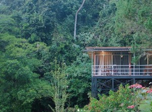 J Residence | Kinabalu Park