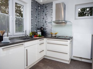 Kegelrobbe | Norddeich