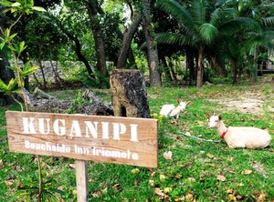 Kuganipi Beachside Inn | Iriomote-jima Taketomi-cho