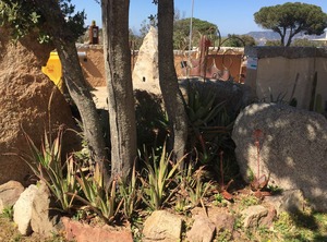 La Casa Carla | San Pantaleo
