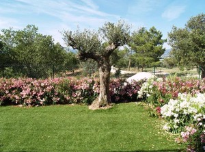Green Bastide | La Rouviere