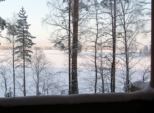 Timber Villa Scenery Nature | Pertunmaa