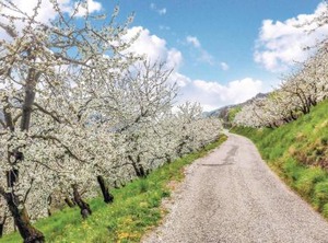 Lessinia | Sant'Anna d'Alfaedo