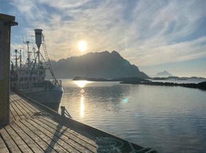 Sennesvik | Vestvagøy