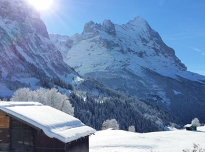 Lohnerhus | Grindelwald