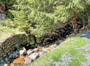 Lautenthal Sauna | Lautenthal