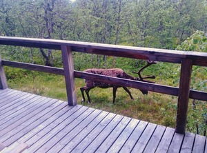 Accommodation | Lofsdalen