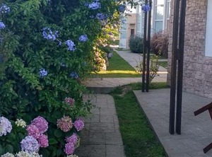 Luces La Paloma | La Aguada