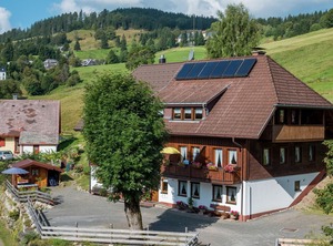 Todtnauberg The Forest Terrace | Todtnau