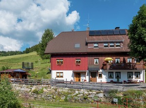 Todtnauberg The Forest Terrace | Todtnau