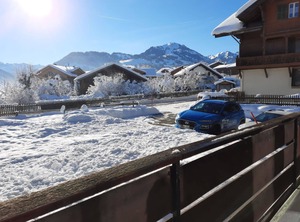 Mösli Zimmerli | Zweisimmen