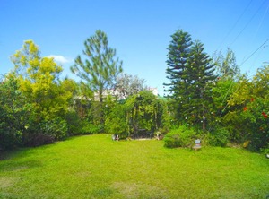 Madie Place | Santa Rosa