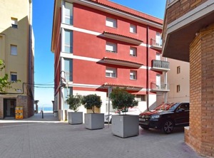 Magnolia | Torredembarra