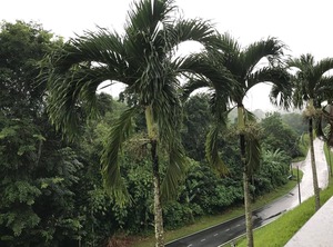 Hillhomes | Bukit Tinggi
