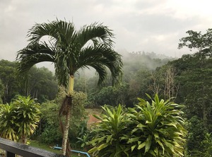 Hillhomes | Bukit Tinggi