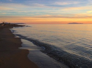 Maremmare | Principina a Mare