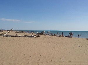 Maremmare | Principina a Mare