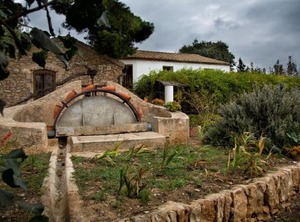 Mas | L'Aldea