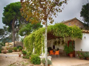 Mas | L'Aldea