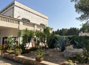 Masseria La Camardia | Sava