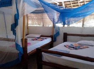 Mida Creek Eco Camp | Gede