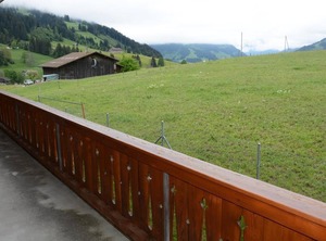 Mireille Schönried | Schoenried