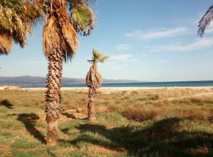 Mistral Sardegna | Province of Cagliari
