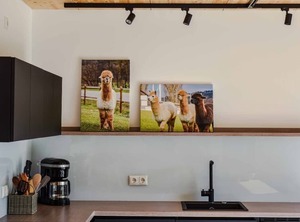 Vrbo Property | Neunburg vorm Wald