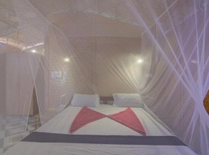 Nest | Mandrem