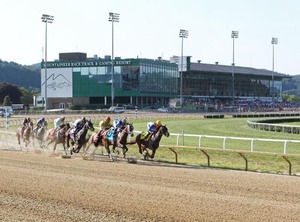 Mountaineer Casino Racetrack Resort | New Cumberland