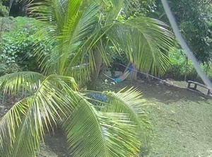 Negril | Negril