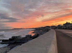 Hampton | Hampton