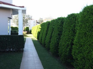 Olympias Court | Belek
