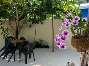 Omadhoo Inn | Omadhoo