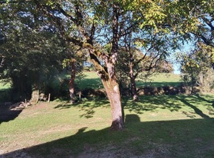 Sur La Colline | Sousceyrac