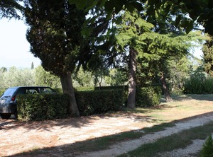 Apartments Nika Umag | Katoro