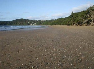 Kiwi Bach | Coopers Beach