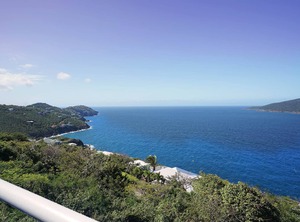 Paradise Palms Ocean | Estate Lovenlund