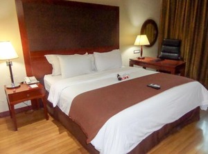 Park Inn | Ofin