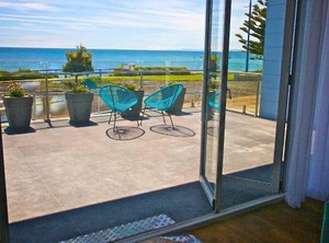 Penguin Beachfront | Penguin