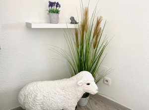 Villa Anna Fewo | Bad St. Peter-Ording