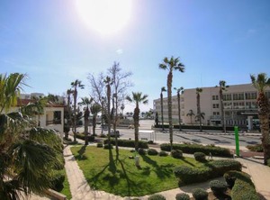 Phaedrus Limnaria | Paphos