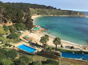 Pinares Del Canelillo | Algarrobo