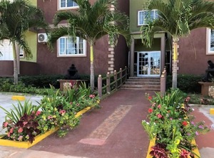 Pirate Palms | Saint Andrew