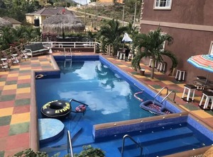 Pirate Palms | Saint Andrew