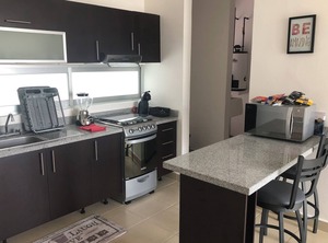 Playa Suites | Puerto Juarez