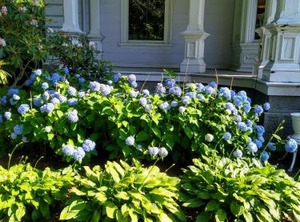 Proctor Mansion Inn | Wrentham