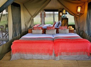 Safari Camp | Serengeti National Park