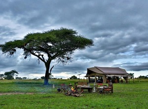 Safari Camp | Serengeti National Park